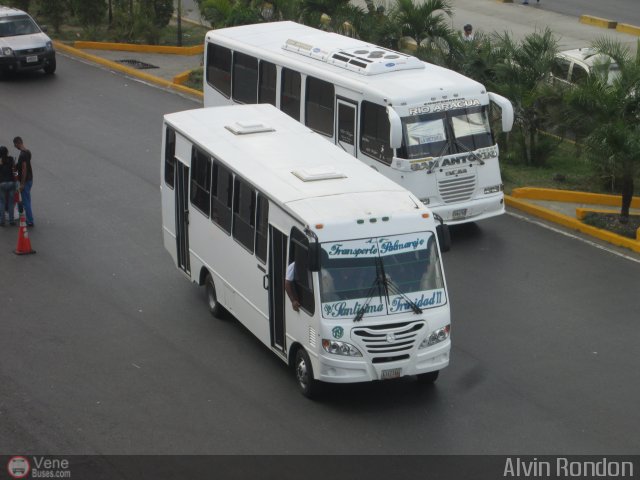 A.C. Transporte Palmarejo 19 por Alvin Rondn