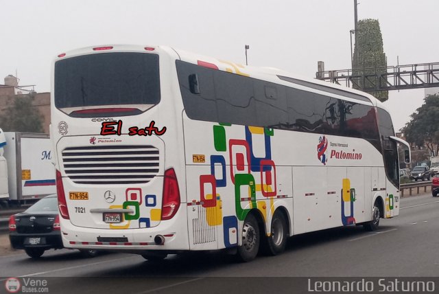 Expreso Internacional Palomino 7021 por Leonardo Saturno