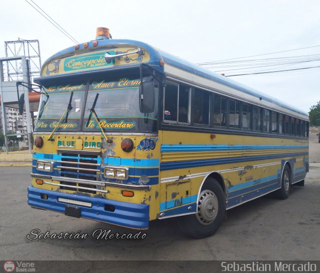 ZU - Colectivos Concepcin 29 por Sebastin Mercado