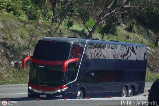 Tigres de Aragua B.B.C. 01 por Pablo Acevedo