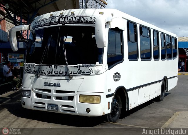 U.L.A.P. Machiques Maracaibo 20 por �ngel Delgado