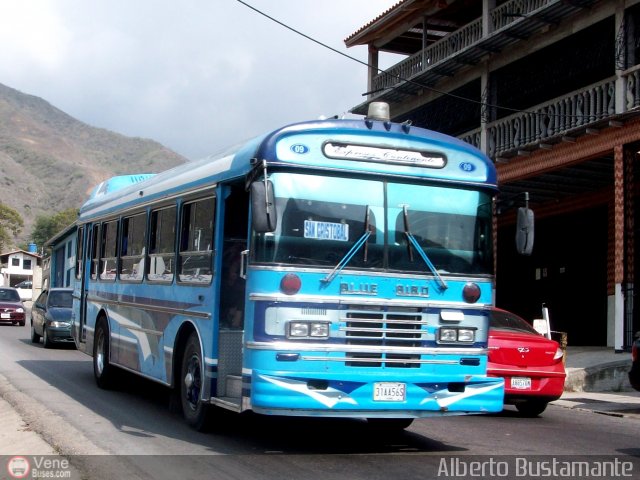 Expresos Continente C-09 por Alberto Bustamante