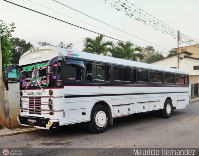 Expresos Nirgua 0115 por Eduard Delgado