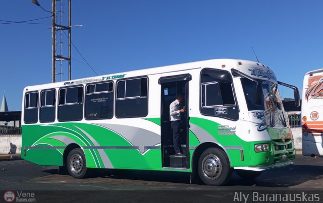 Transporte Virgen del Carmen 10 por Aly Baranauskas