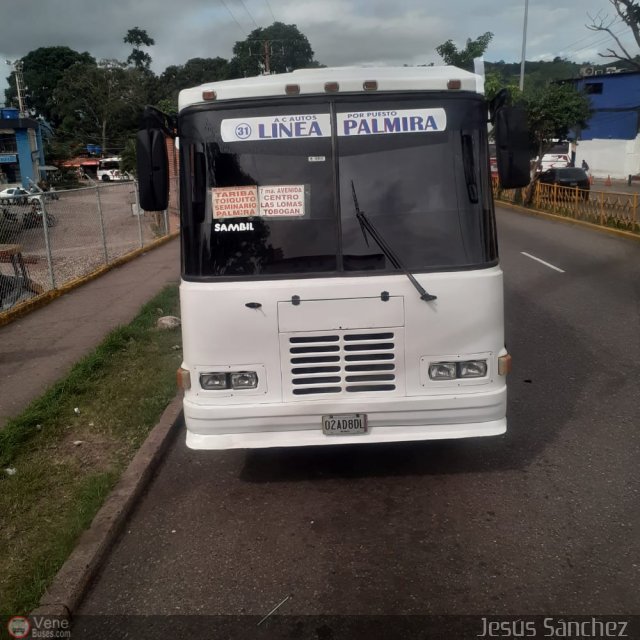 TA - A.C. Autos por puesto Lnea Palmira 031 por Jerson Nova