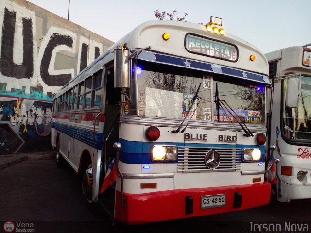 Micros Amarillas JN52 por Jerson Nova