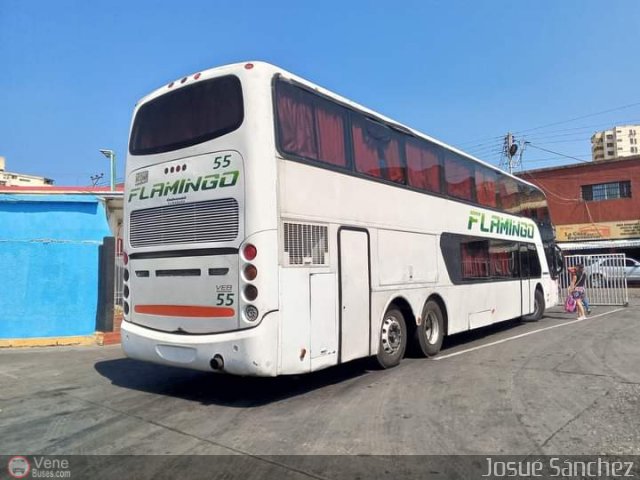 Expresos Flamingo 0055 por Josue Snchez