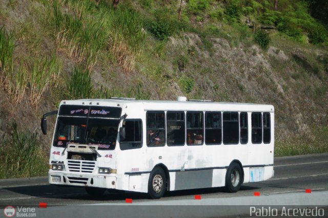 Transporte Unido 042 por Pablo Acevedo