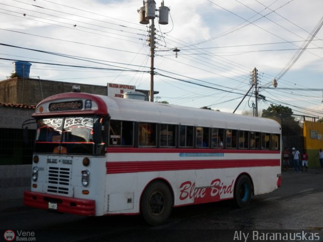 CA - Trans. Somos Del Sur 07 por Aly Baranauskas