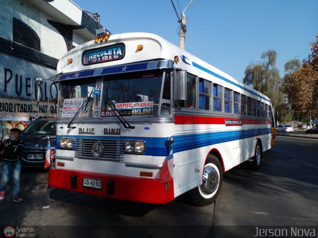 Micros Amarillas JN52 por Jerson Nova