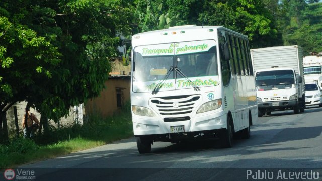 A.C. Transporte Palmarejo 11 por Pablo Acevedo