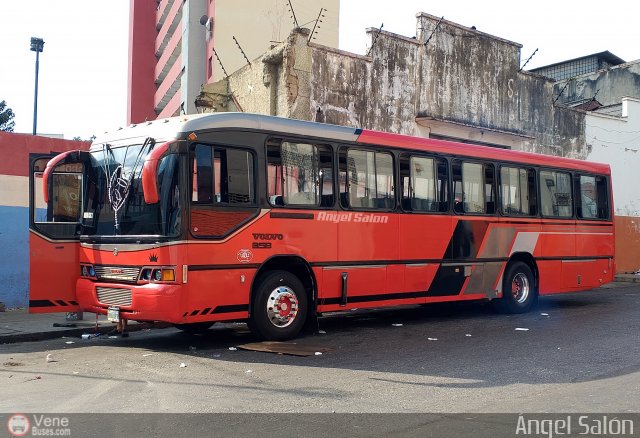 Organizaci�n Guaicamacuto 090 por �ngel Sal�n