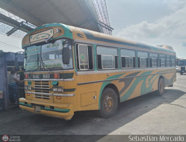 ZU - Colectivos Concepcin 004-LP por Sebastin Mercado