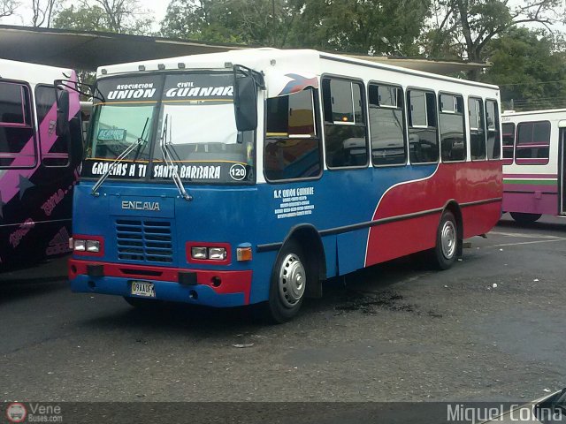 A.C. Unin Guanare 120 por Miguel Colina