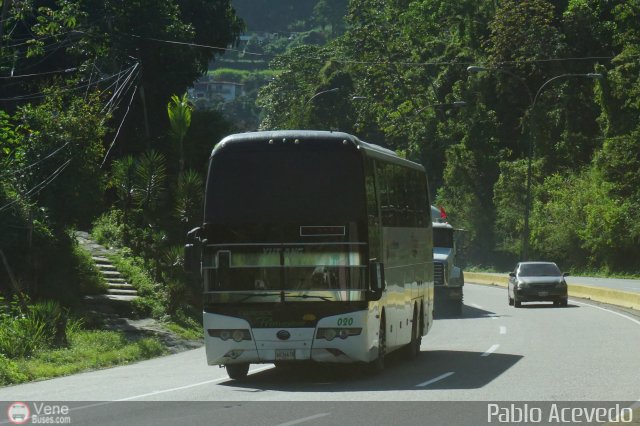 Expresos Primavera 020 por Pablo Acevedo