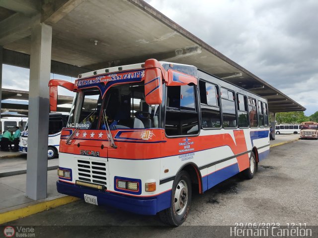 A.C. Expresos San Felipe 2012 31 por Alvin Rond�n