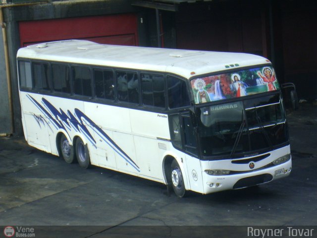Expresos Alianza 306 por Royner Tovar