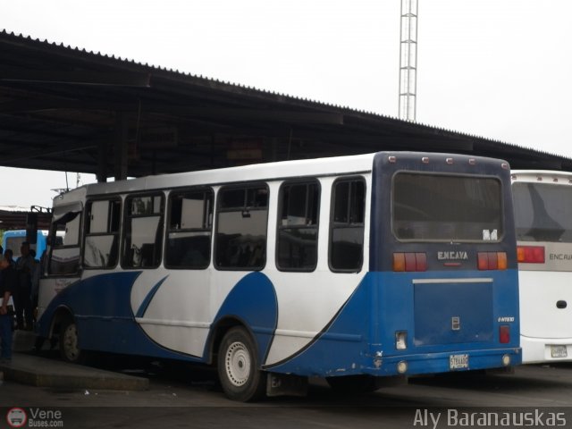 Transporte Virgen del Carmen 97 por Aly Baranauskas