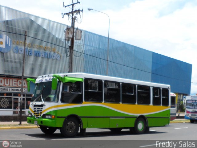 TA - A.C. Autos por puesto Lnea Palmira 029 por Freddy Salas