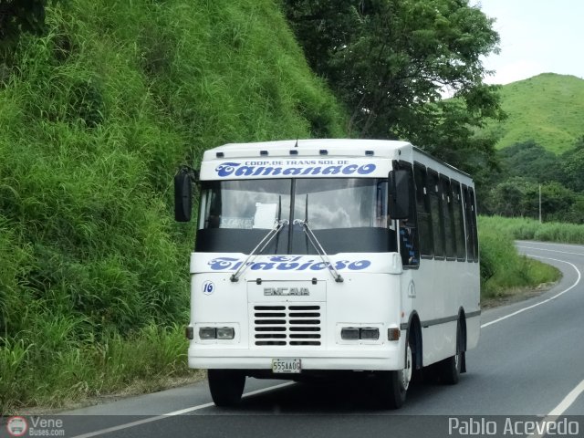 A.C. de Transporte Sol de Tamanaco 16 por Pablo Acevedo