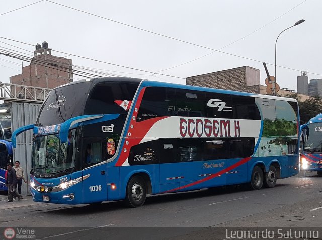 Ecosem H. 1036 por Leonardo Saturno