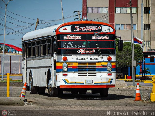 Colectivos Perij� 26 por Numiskar Escalona