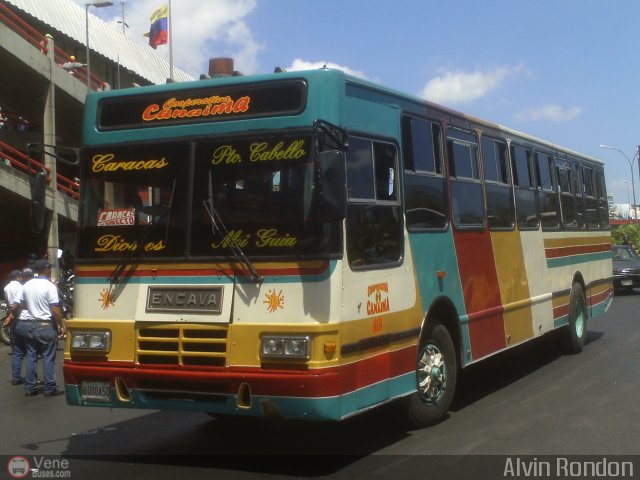 Cooperativa Canaima 08 por Alvin Rondn