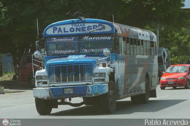 Transporte Colectivo Palo Negro 02 por Pablo Acevedo