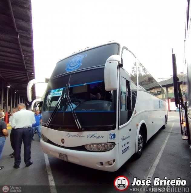 Ejecutivos Boga 29  por Jos� Brice�o