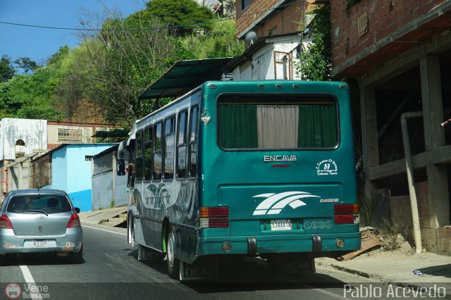 U.C. Caracas - El Junquito - Colonia Tovar 057 por Pablo Acevedo