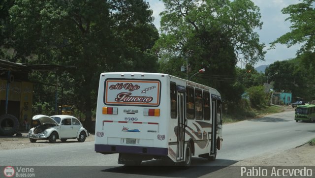 Uni�n de Conductores Unidos S.C. 033 por Pablo Acevedo