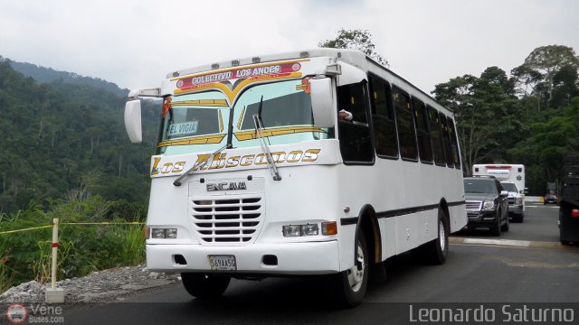 Colectivo Los Andes 23 por Leonardo Saturno