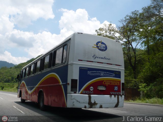 A.C. de Transporte Encarnaci�n 315 por J. Carlos G�mez