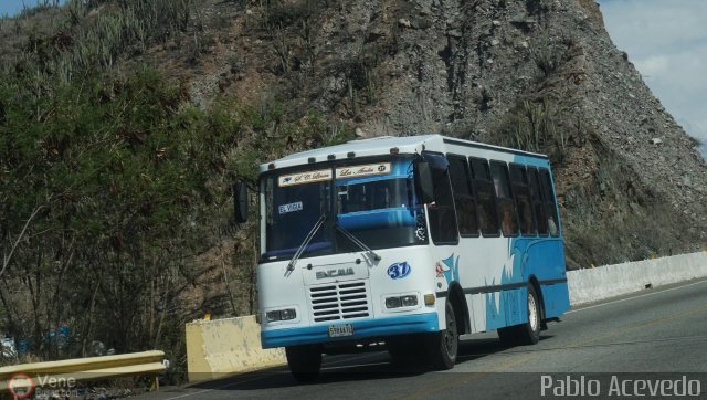 Lnea Los Andes S.C. 037 por Pablo Acevedo