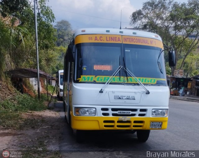 TA - A.C. L�nea Intercomunal 55 por Jerson Nova