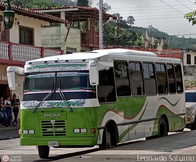 Lnea Los Caracoles 46 por Leonardo Saturno