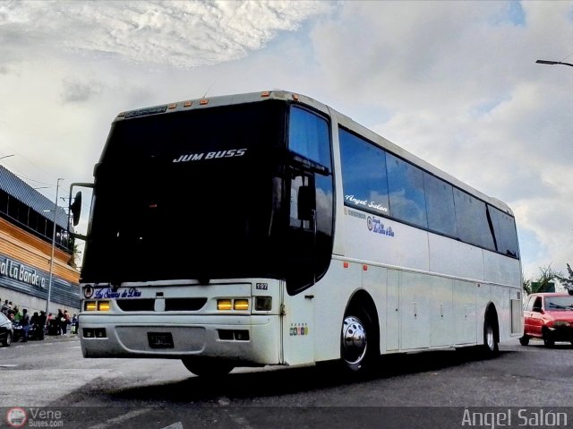 Transporte Los Siervos de Dios 0197 por �ngel Sal�n