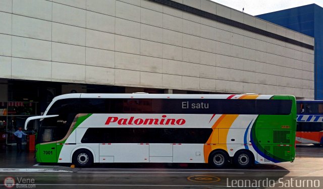 Expreso Internacional Palomino 7001 por Leonardo Saturno
