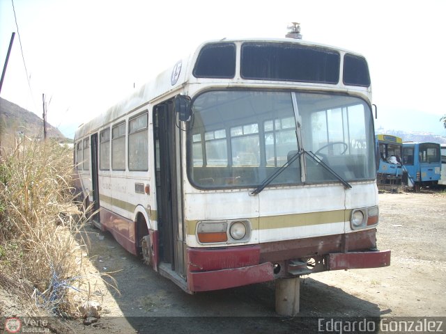 En Chiveras Abandonados Recuperacin 15 por Edgardo Gonzlez