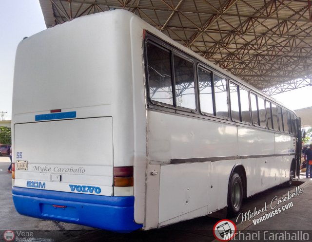 Colectivos Sol de Oriente 055 por Michael Caraballo