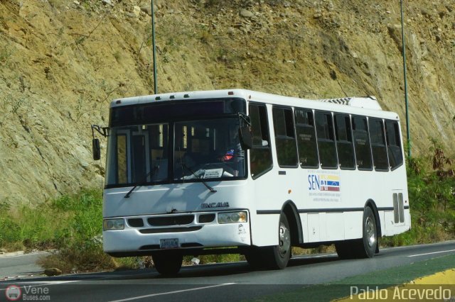 SENIAT 01 por Pablo Acevedo