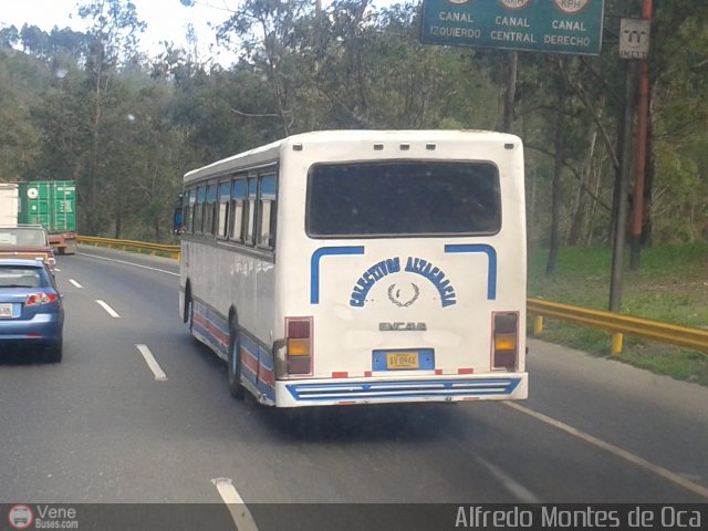 Colectivos Altagracia 01 por Alfredo Montes de Oca