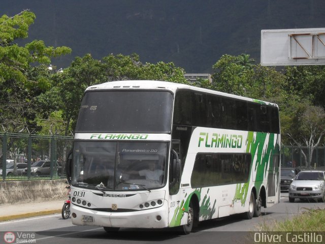 Expresos Flamingo 0131 por Oliver Castillo