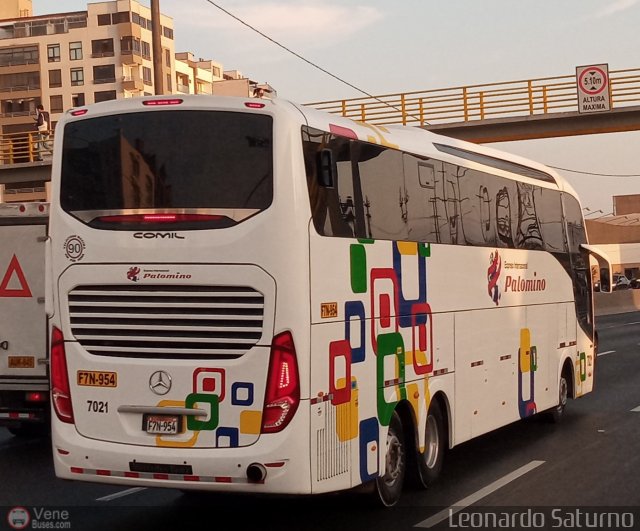 Expreso Internacional Palomino 7021 por Leonardo Saturno