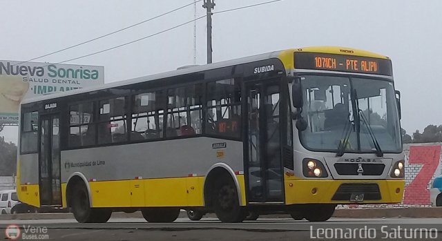 Per Bus Internacional - Corredor Amarillo 2009 por Leonardo Saturno