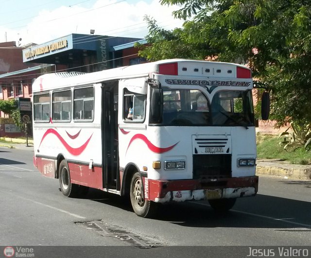 MI - L�nea Terepaima 101 por Jes�s Valero