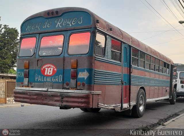 Transporte Palo Negro La Morita 2 018 por Kimberly Guerrero
