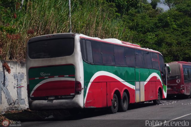 Expresos Pegamar 3001 por Pablo Acevedo