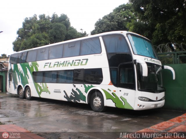 Expresos Flamingo 0183 por Alfredo Montes de Oca