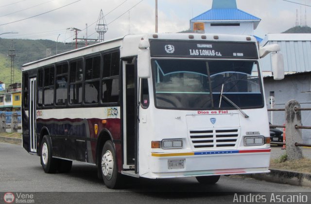 CA - Transporte Las Lomas 003 por Andrs Ascanio